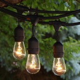 45ft Patio String Lights and Bulbs