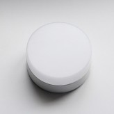 LED Ceiling Light