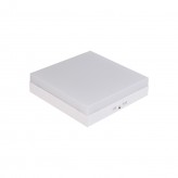 LED Ceiling Light