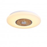LED Smart Wooden Ceiling Light