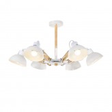 Ceiling Light