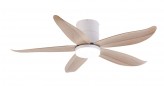 Fanco Fan