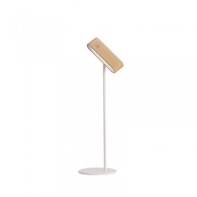 LED Table Light